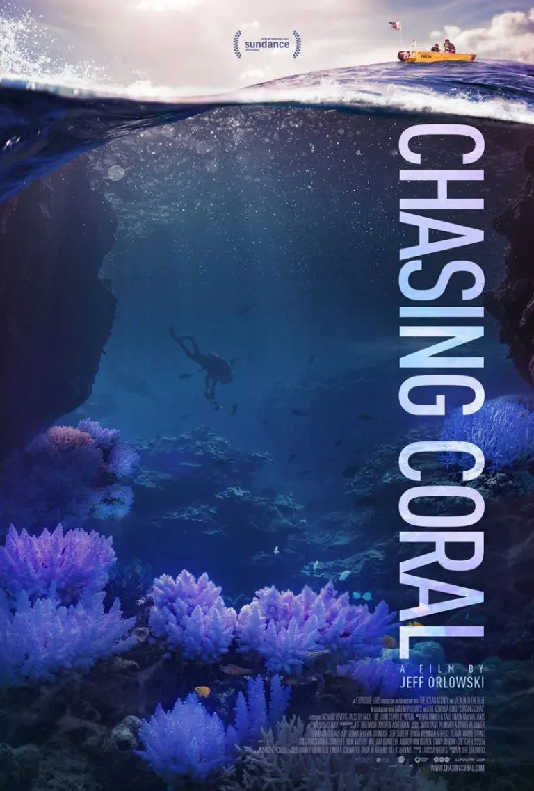A scuba diver explores a vibrant coral reef underwater beneath a boat on the surface